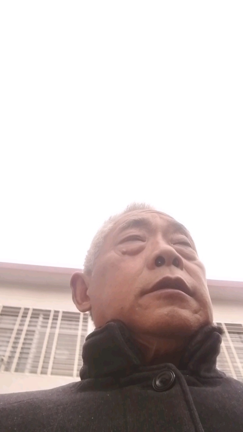 西峡县双龙镇香菇聚散地干香菇，花菇