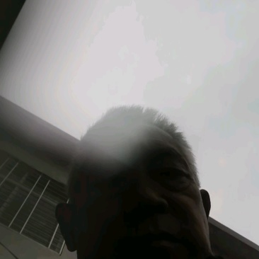 自家园子优质徐香猕猴桃