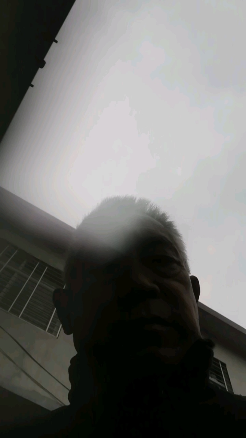 自家园子优质徐香猕猴桃