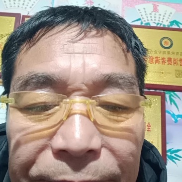 河北乐亭春雪桃大量上市，品质保证，提供一条龙服务