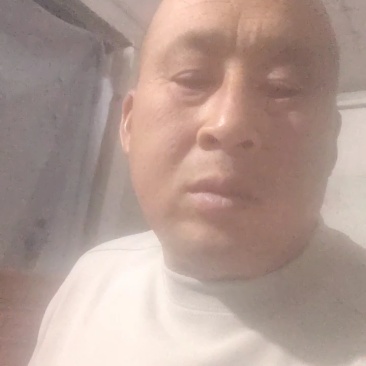 江苏徐州蒜苔大量供应代发全国诚信合作欢迎来电
