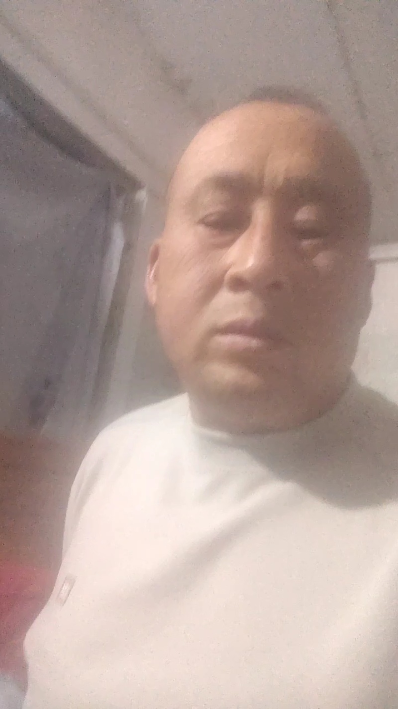徐州蒜苗江浙沪直发量大价优质量保证欢迎致电咨询