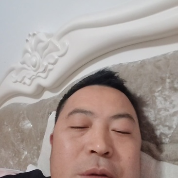 放养土鸡