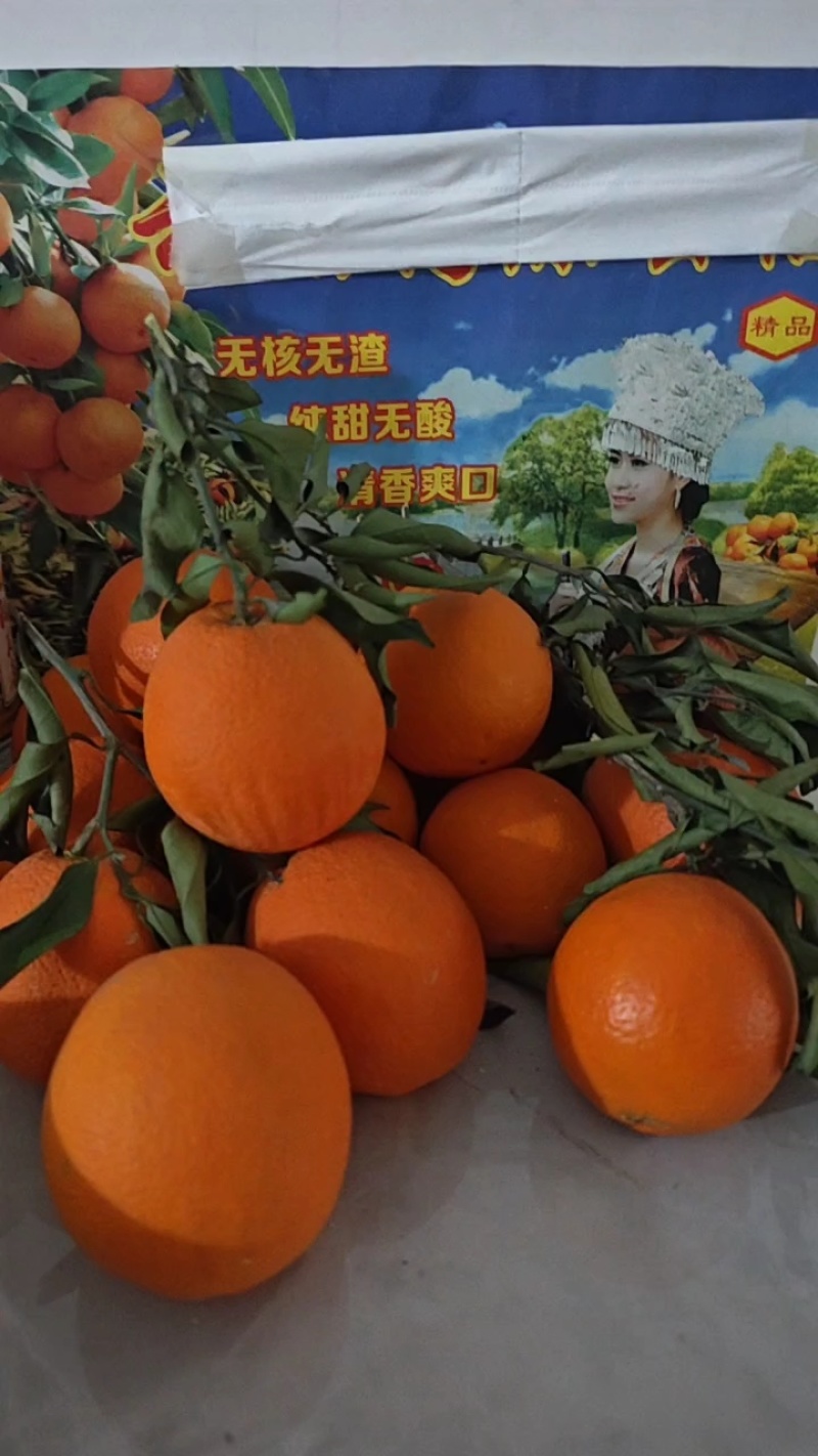 【秭归脐橙】品种齐全一手货源支持视频看货可代发全国