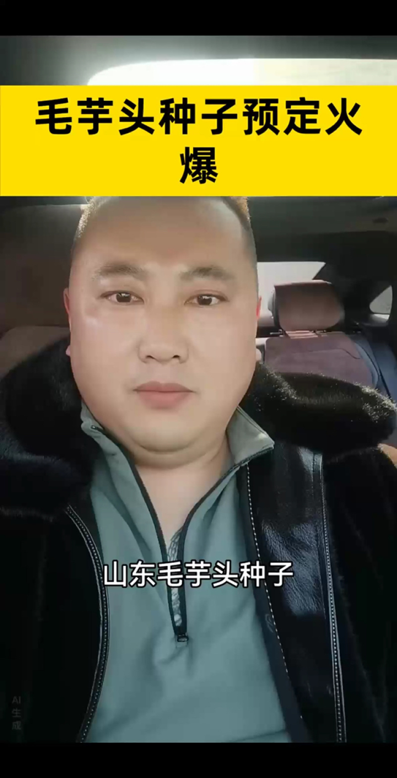 山东毛芋头种子预定，产量高30%，一亩多赚2000元！