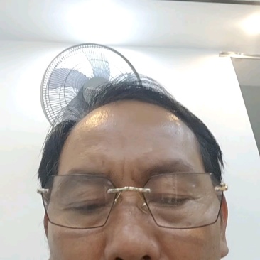大五星枇杷