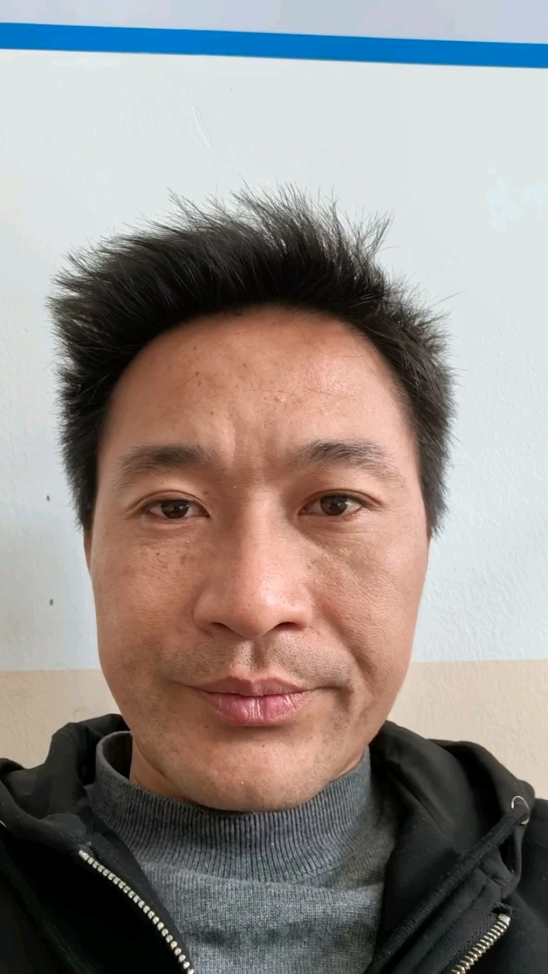 干海带丝厂家直销海带丝烘干海带丝盐渍脱水海带
