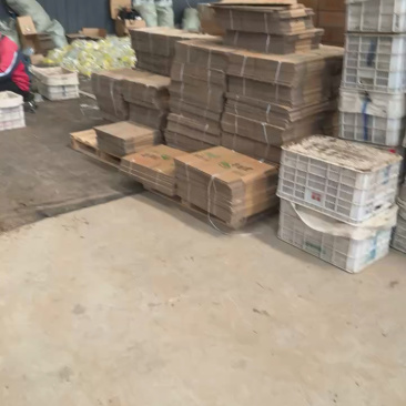 正宗寿光羊角蜜甜瓜一件代社区团购对接各大电商品质好