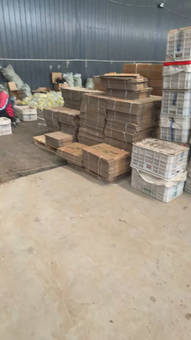 正宗寿光羊角蜜甜瓜一件代社区团购对接各大电商品质好
