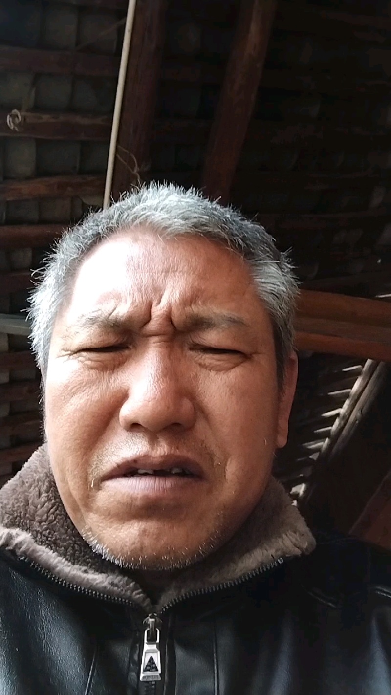 云南野生大蓟根马刺根鸡翅根恶鸡婆新鲜煲汤炖鸡排骨大蓟新鲜