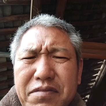 保山现挖正宗云南新鲜自种老母姜批发生姜老姜青姜月子姜整箱