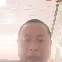 阳光玫瑰品质保证大量有货欢迎联系