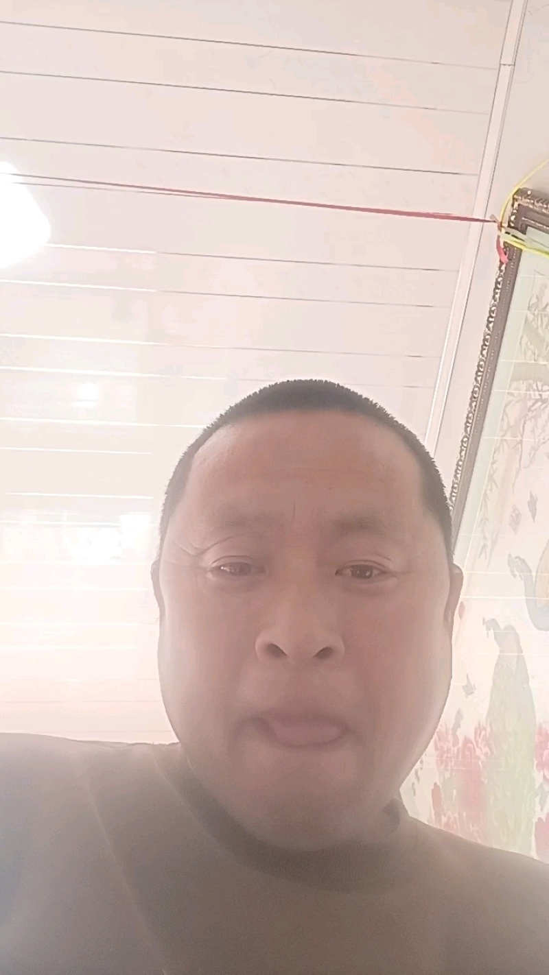阳光玫瑰品质保证大量有货欢迎联系