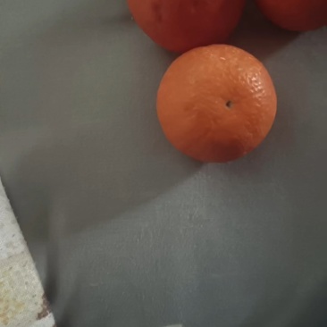 秭归伦晚脐橙，现摘现发，对接电商