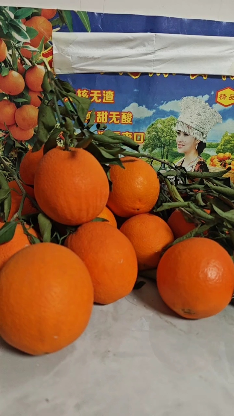 血橙中华红橙·对接电商.社区团购.批发市场.诚信经营