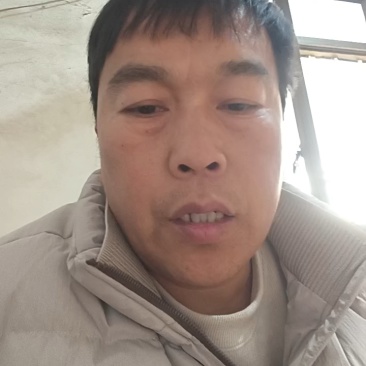 河北本地优质西葫芦一手货源，欢迎新老顾客选购