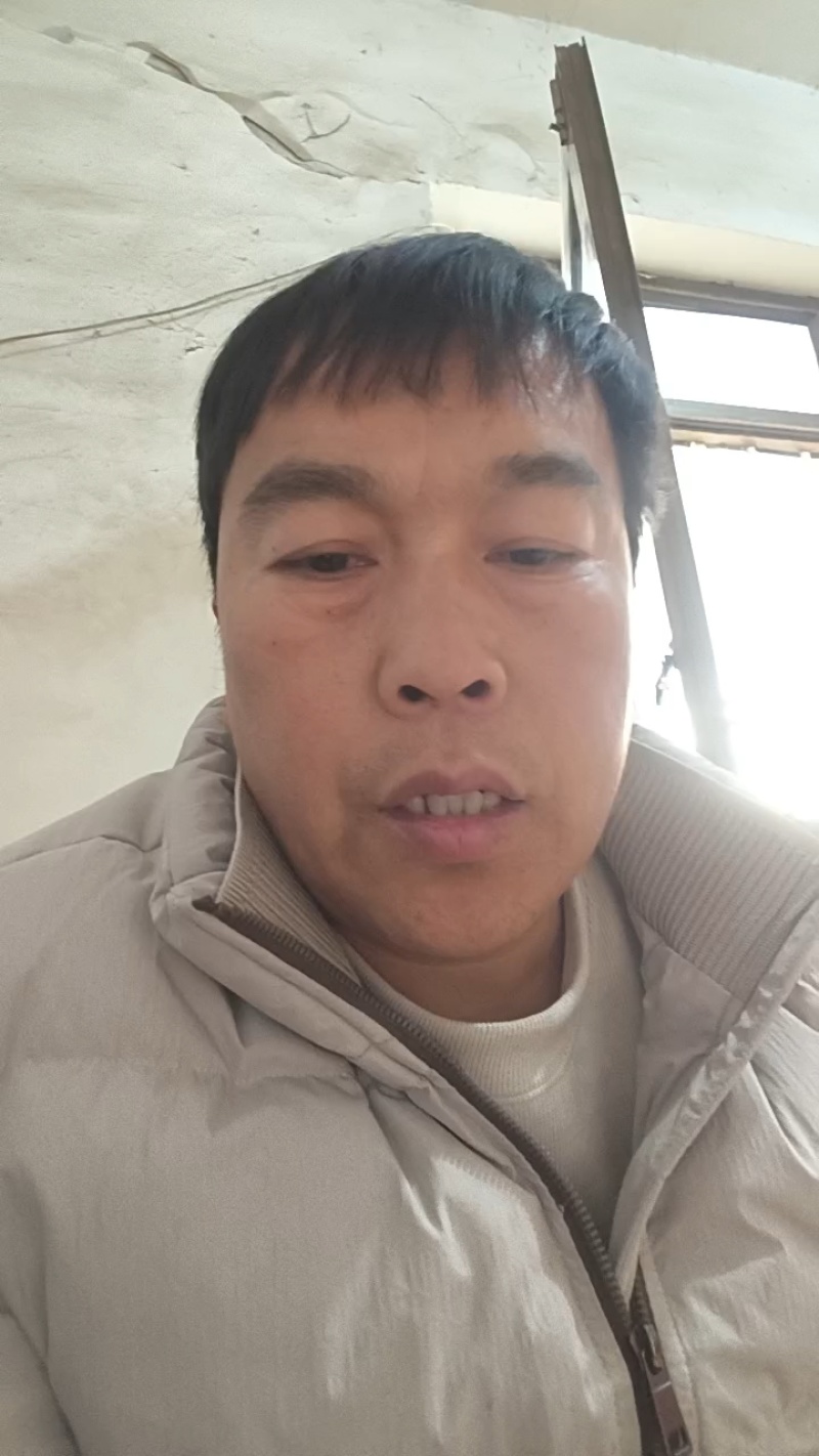 河北本地优质西葫芦一手货源，欢迎新老顾客选购