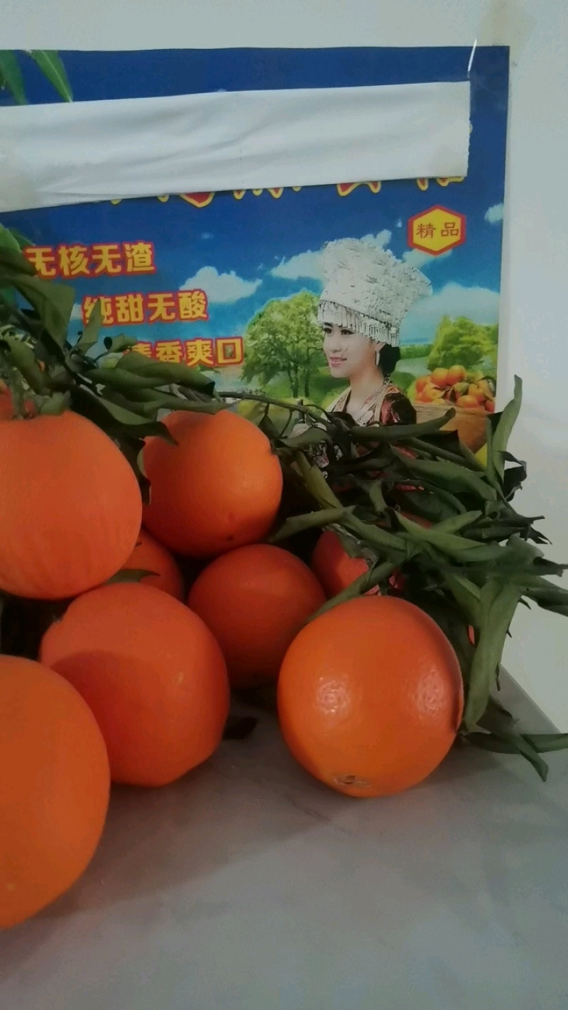 纽荷尔橙子.70起步一手货源现採现发可视频看货
