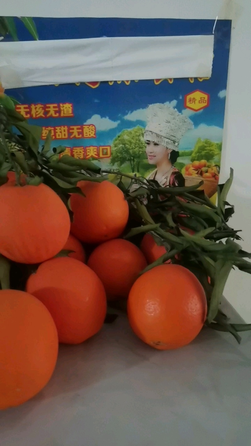 秭归脐橙二级果电商果精品果大量上市口感甜果面好.提供