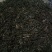 古树茶二级