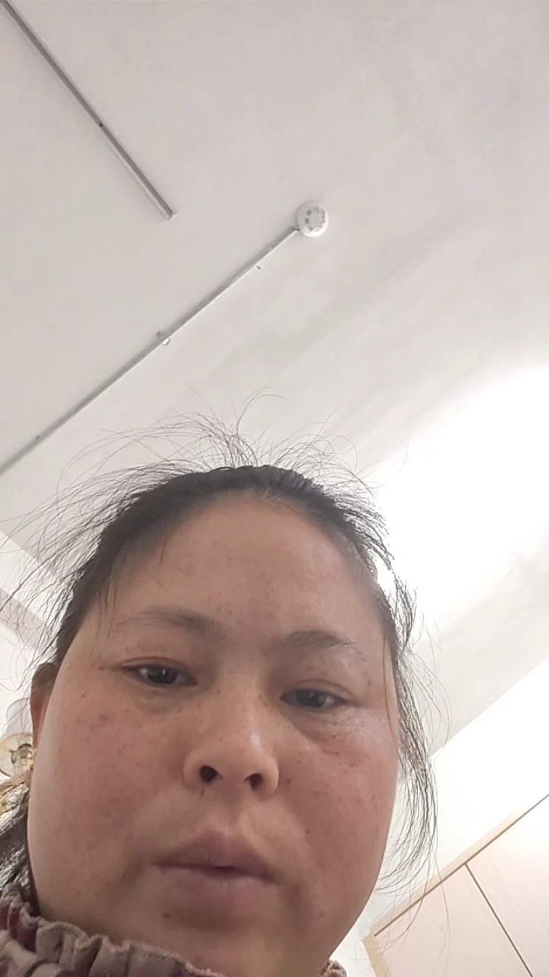 纽荷尔脐橙苗