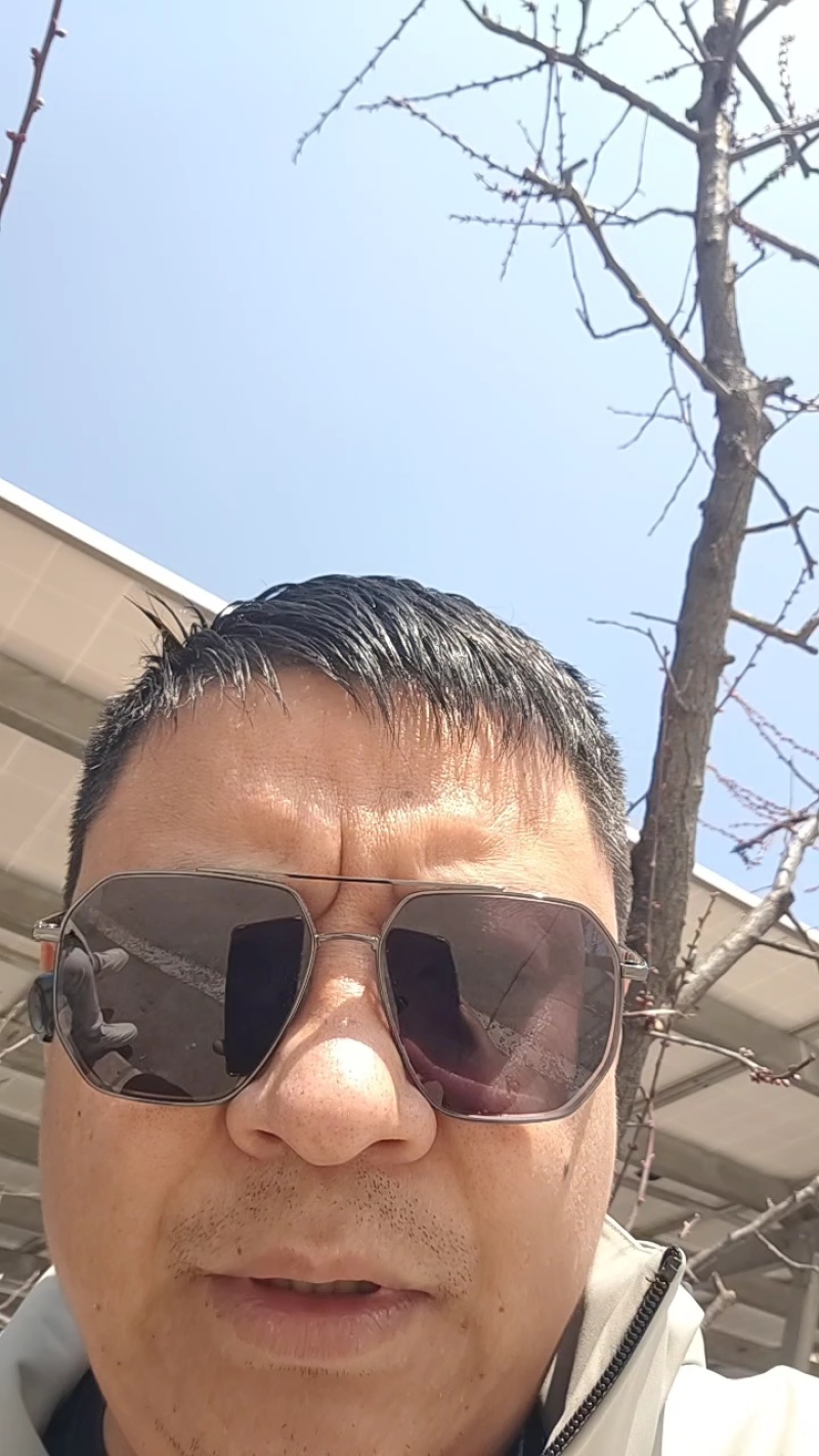 辣椒苗≥40天高产早熟抗各种辣椒苗有售预订更优惠