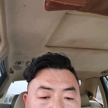 红柳苗
