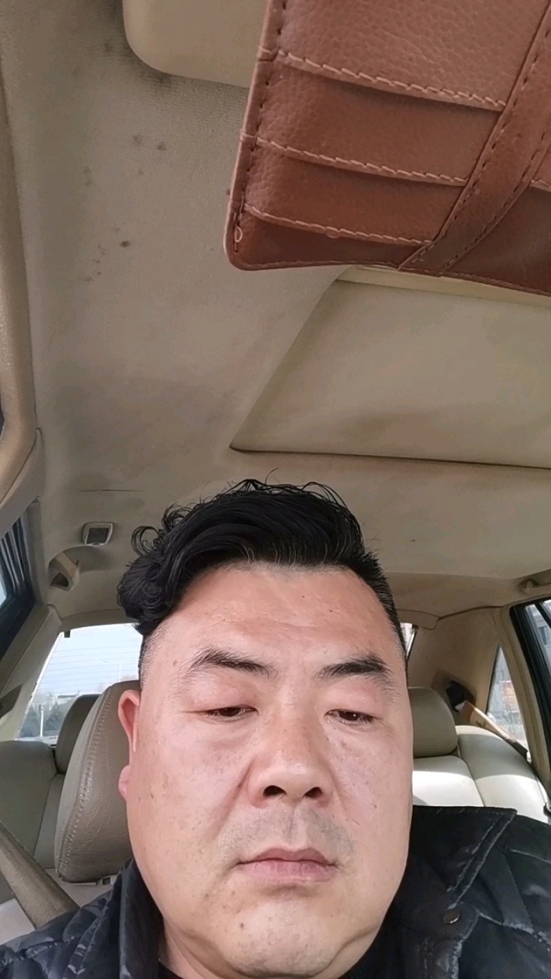 红柳苗