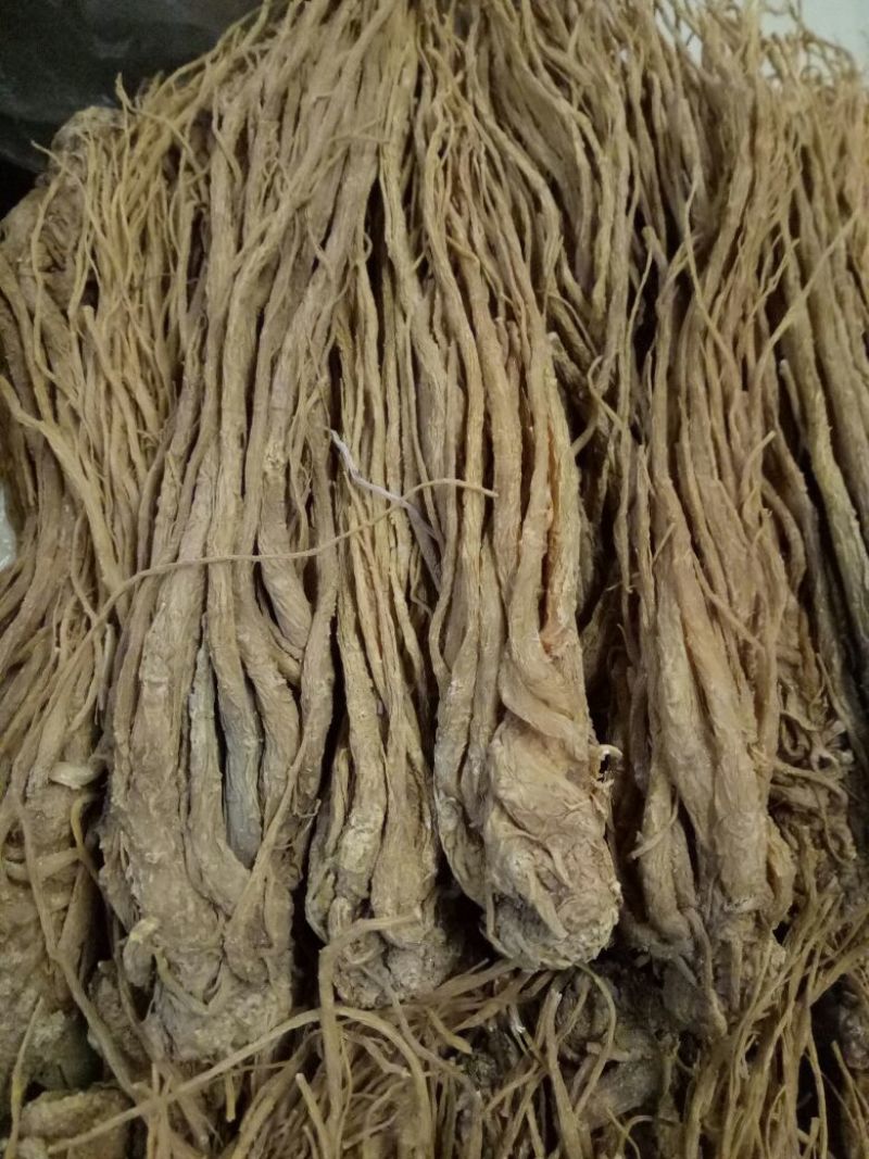 当归精品长期有货正规货源保障头片通货批发