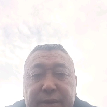 青脆李子苗脆甜，离核，适合全国种植。提供栽种管理技术
