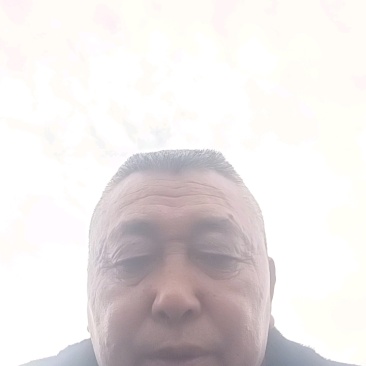 春见柑橘苗耙耙柑苗基地直发包成活包挂果免费提供技术指导