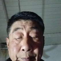 食叶草干莱