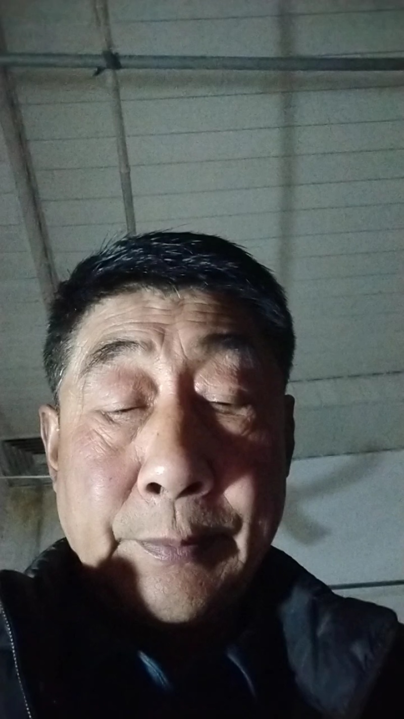 食叶草干莱