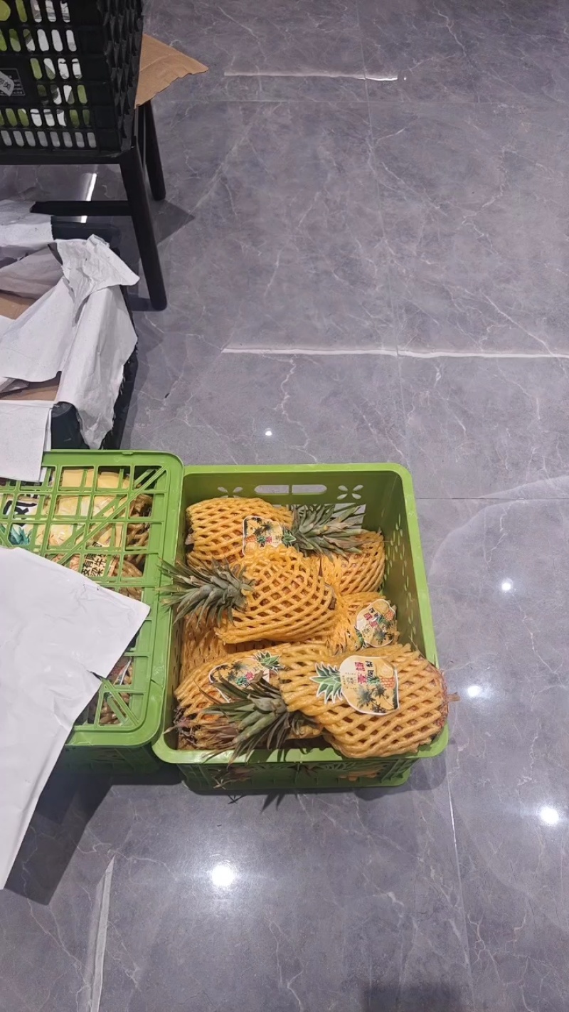 金钻凤梨大宗批发一吨起批可商议