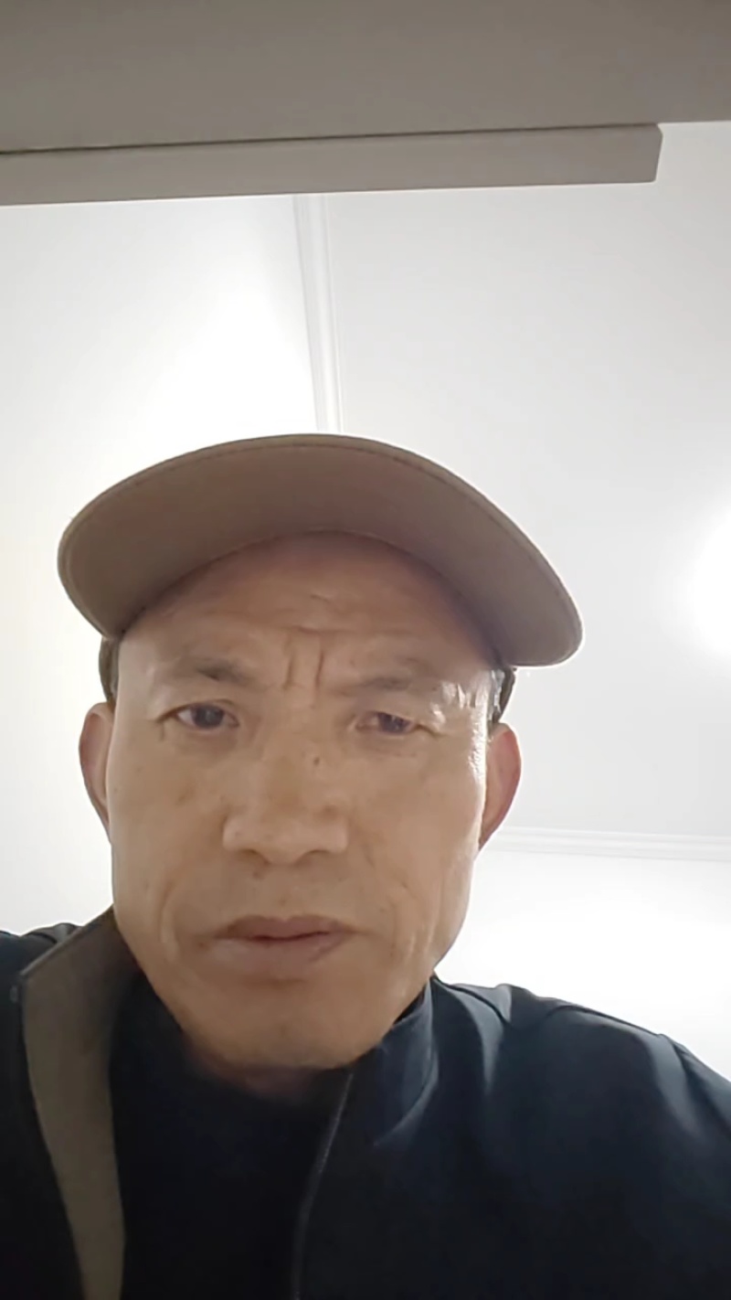 木荷袋苗，根系发达，成活率高
