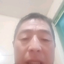 万荣苹果精品纸加膜