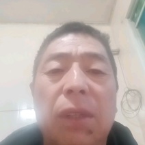 【推荐】山西酥梨75以上的膜袋1.05脆甜可口货源充足