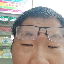 桑寄生