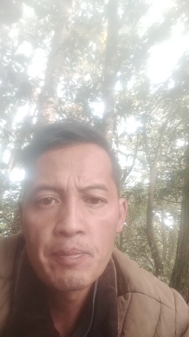芋头软糯香甜，大量现货，价格实惠欢迎来电选购