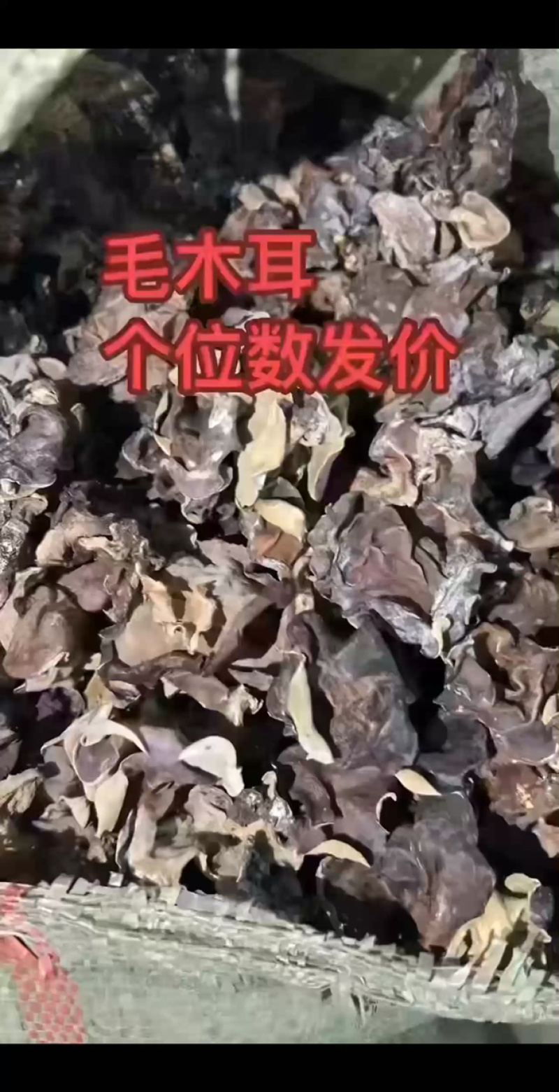 毛木耳新到货，泡发率高，50斤/件