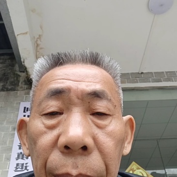 【存活率高】黄连苗，根茎类药材，药用价值高，规格齐全大量