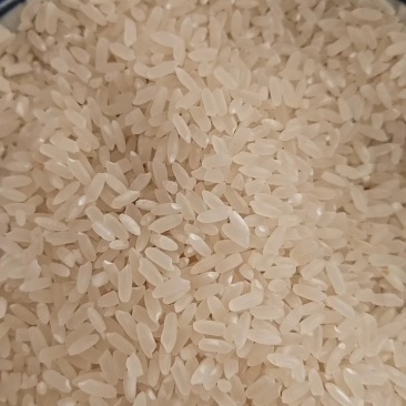 正宗五常大米，原粮稻花香二号