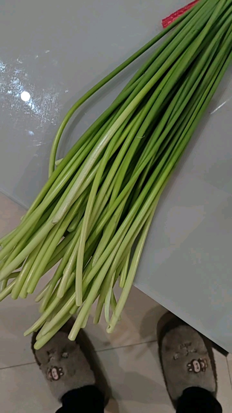 正宗蒜薹一手货源下单秒发