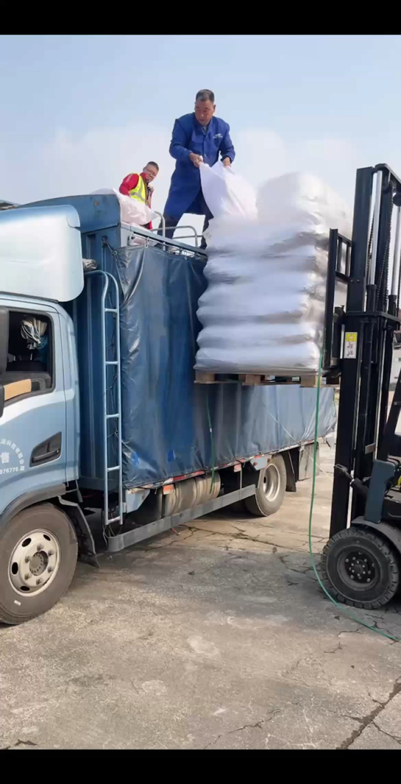 雪燕发货一车，货量充足！