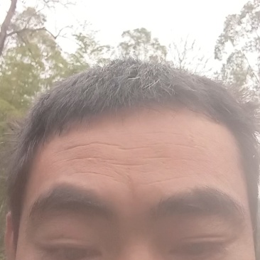 （50）斤左右中蜂土蜂蜜