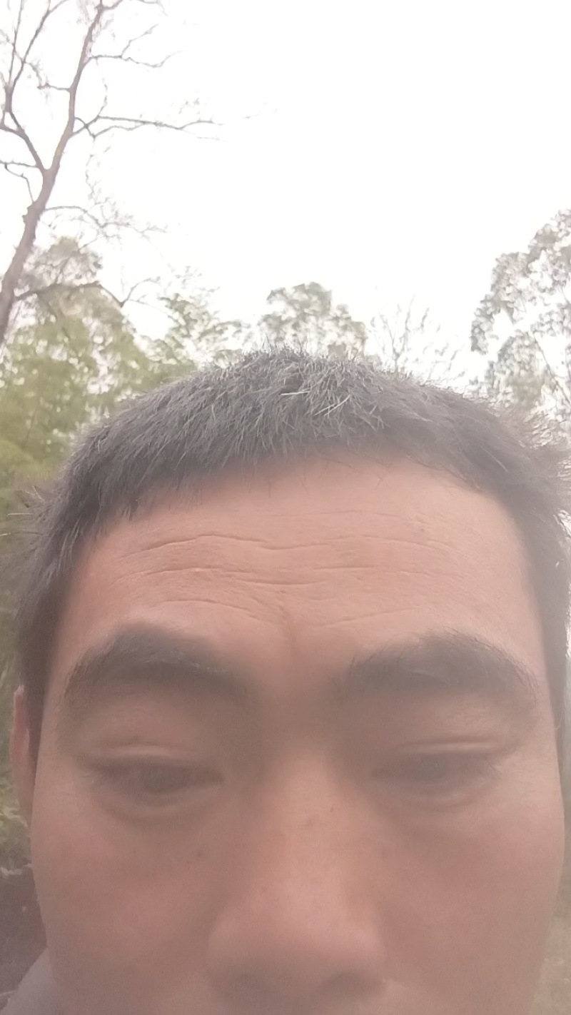 （50）斤左右中蜂土蜂蜜