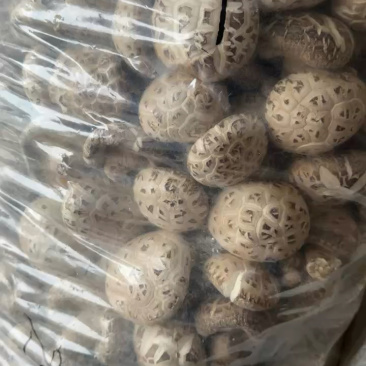 随州干香菇通货，精选规格都可以