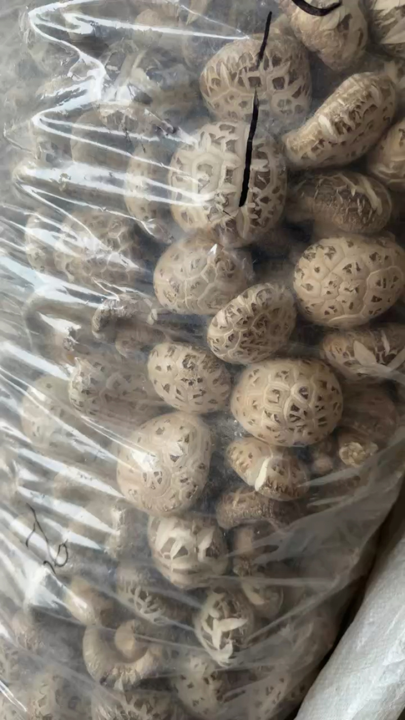 随州干香菇通货，精选规格都可以