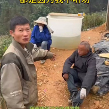蓝莓基地对接抖音、拼多多、淘宝等平台电商代发价低货美