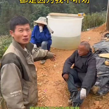 蓝莓基地对接抖音、拼多多、淘宝等平台电商代发价低货美